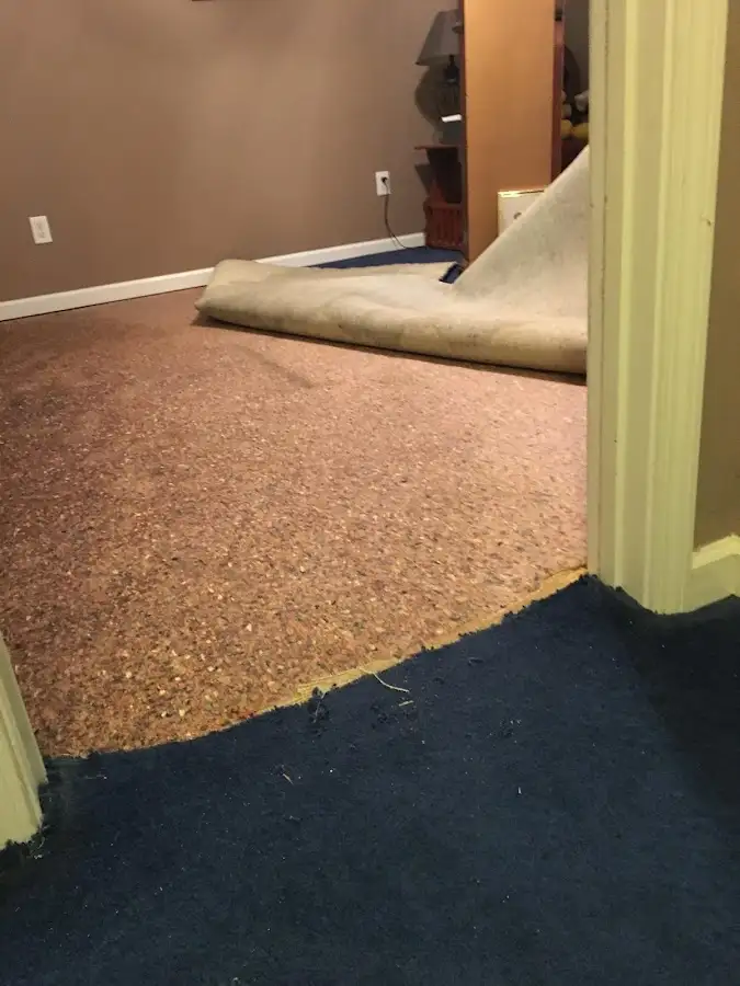 Carpet pad removal revealing water damage during Drying & Dehumidification in Lakeport